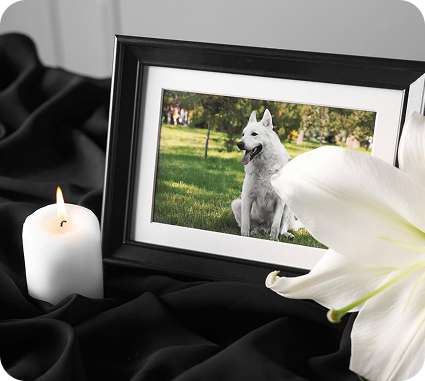 Private Consultation Room