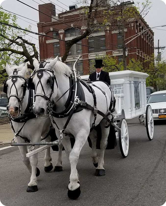 Funeral transportation option available for families in Kensington.
